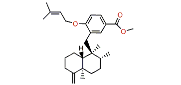 17-O-Isoprenyldictyoceratin C